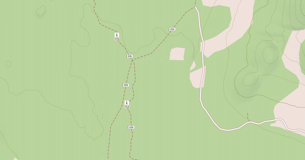 Map preview of USFS National Forest System Roads {A96801E8-E93C-4682-8A82-856B7D0CB459}