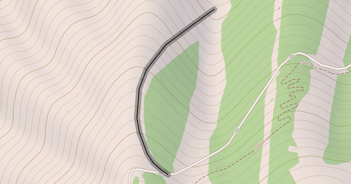Map preview of International