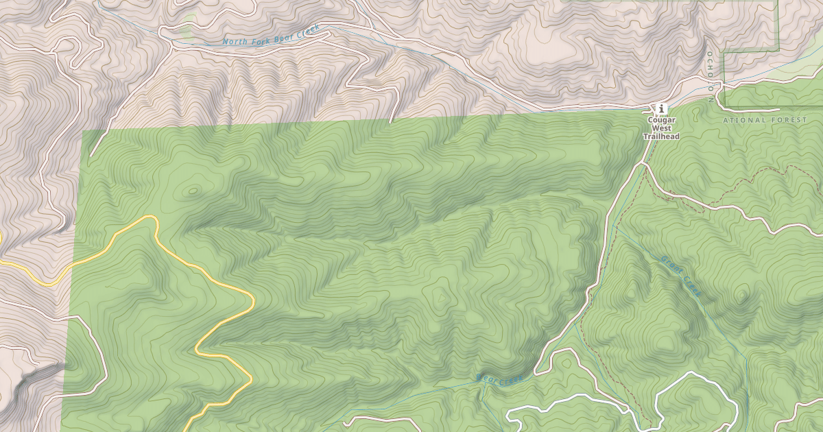 Map preview of USFS Motor Vehicle Use Map Roads {6AE1EB0A-2B81-4E43-8859-B96DDCF581CF}