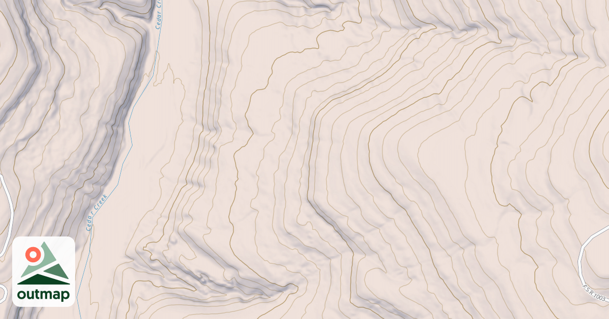 Map of USFS National Forest System Roads {5917DFD1-888A-47E7-A2A1-E45BEA45D0F5}