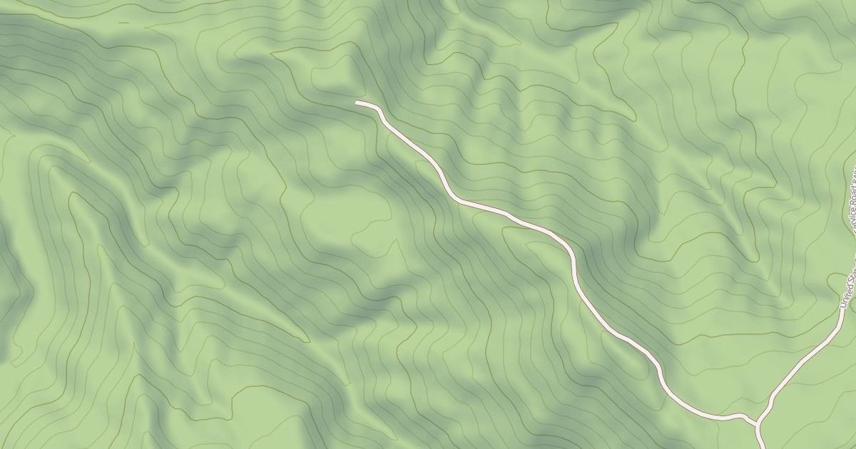 Map preview of USFS National Forest System Roads {CCD96A35-0431-4C0D-A396-A5C720E2F8EE}