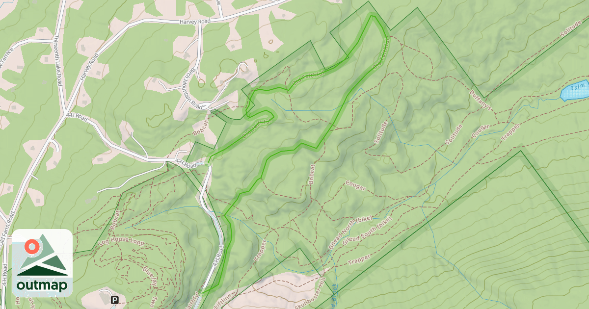 Map of Old Faithful