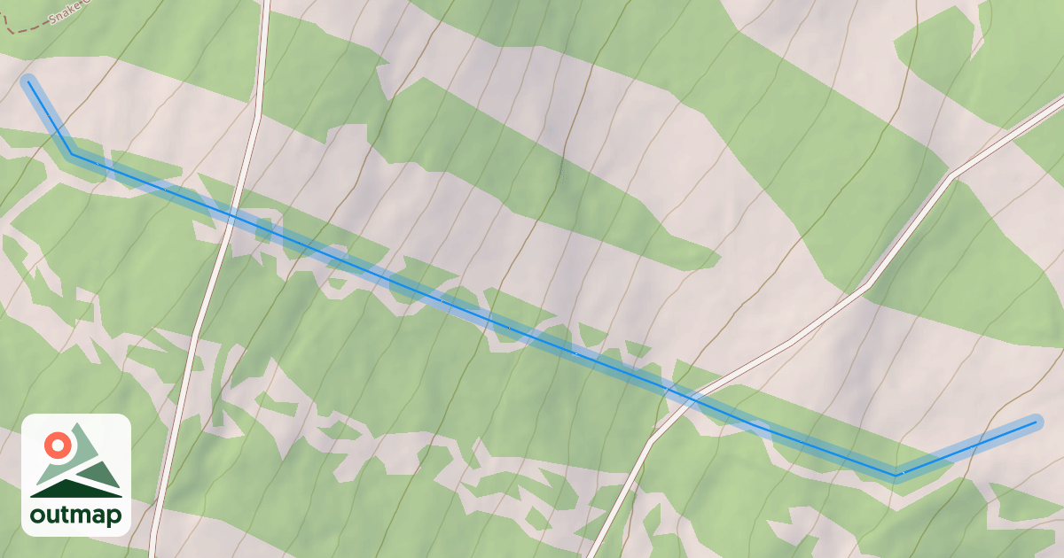 Map of Freemont's Forest
