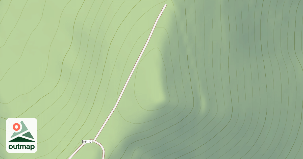 Map of USFS Motor Vehicle Use Map Roads {9C5C6851-A0B2-44A4-9EA2-96FE7AEE375B}