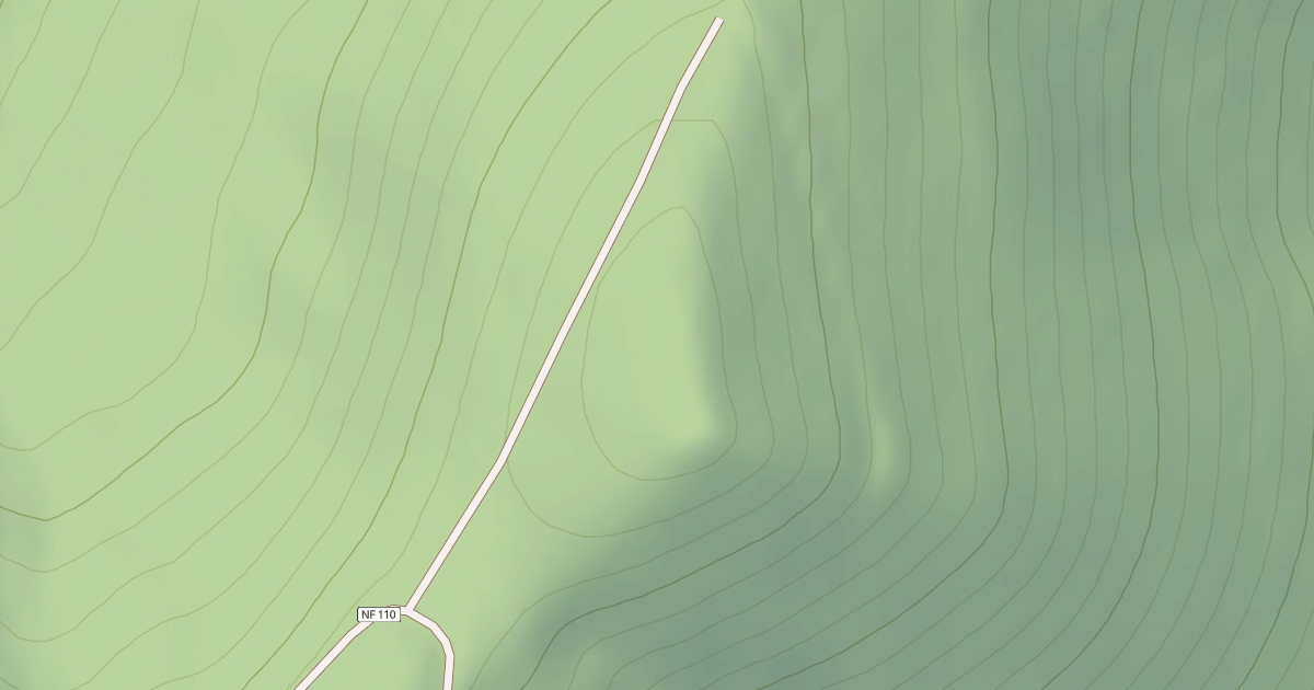 Map preview of USFS Motor Vehicle Use Map Roads {9C5C6851-A0B2-44A4-9EA2-96FE7AEE375B}
