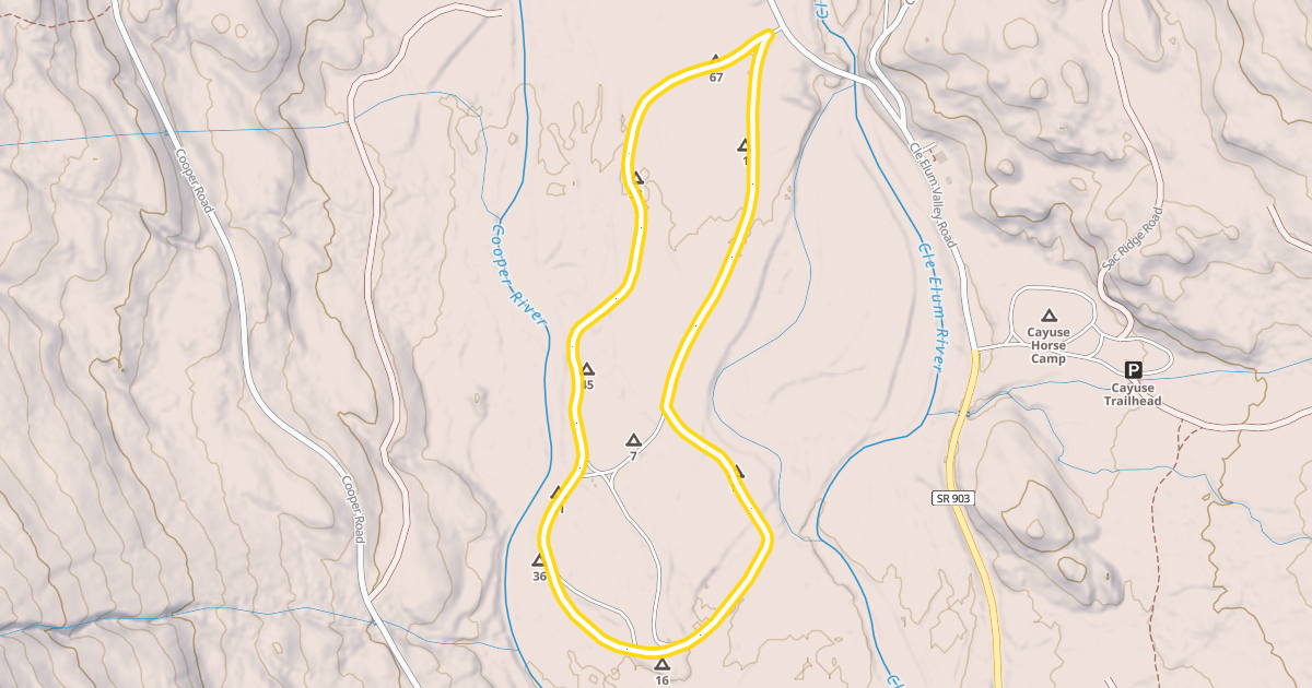 Map preview of Salmon La Sac Campground Road