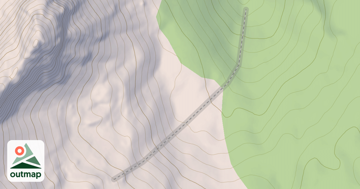Map of 3 Tree