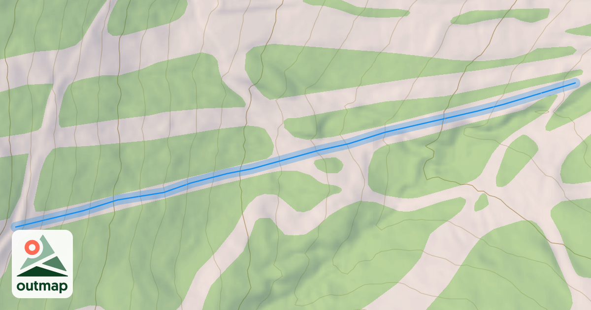 Map of Micky
