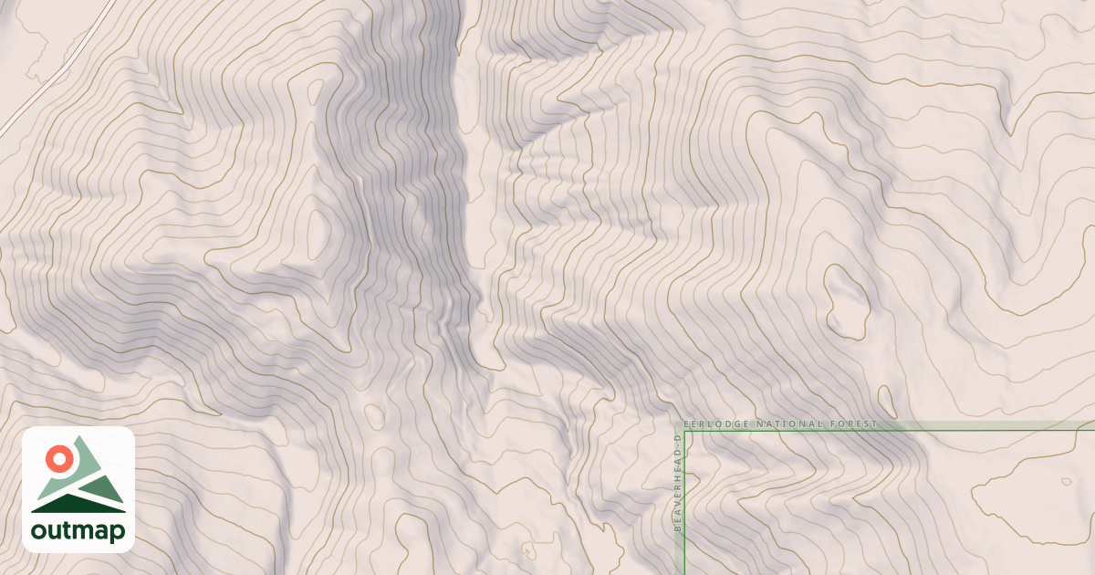 Map of USFS National Forest System Roads {C8571395-EF26-496F-BC10-C575560DD56A}