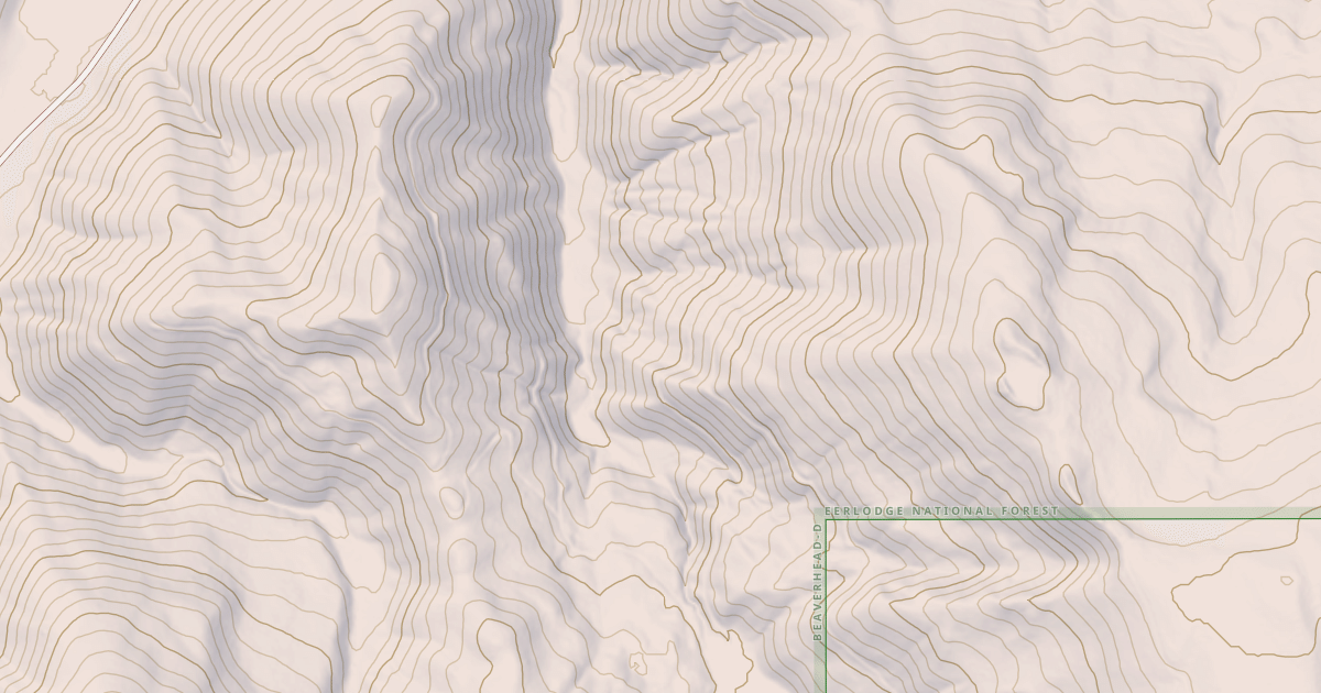 Map preview of USFS National Forest System Roads {C8571395-EF26-496F-BC10-C575560DD56A}