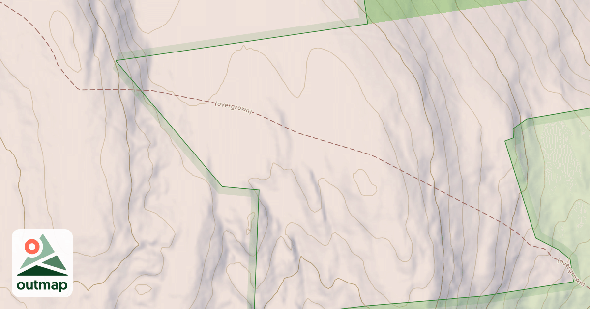 Map of Ireland Street Branch