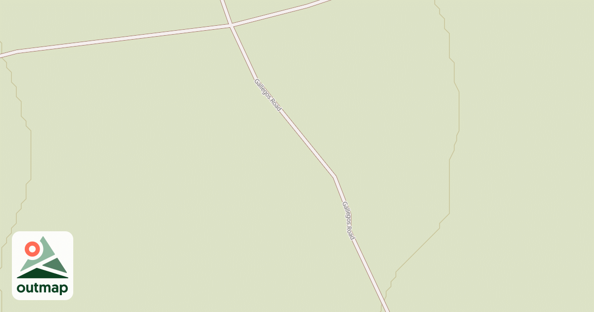 Map of BLM National GTLF Public Motorized Roads 838007d9-90fd-4819-8bc6-dd375c08d90d