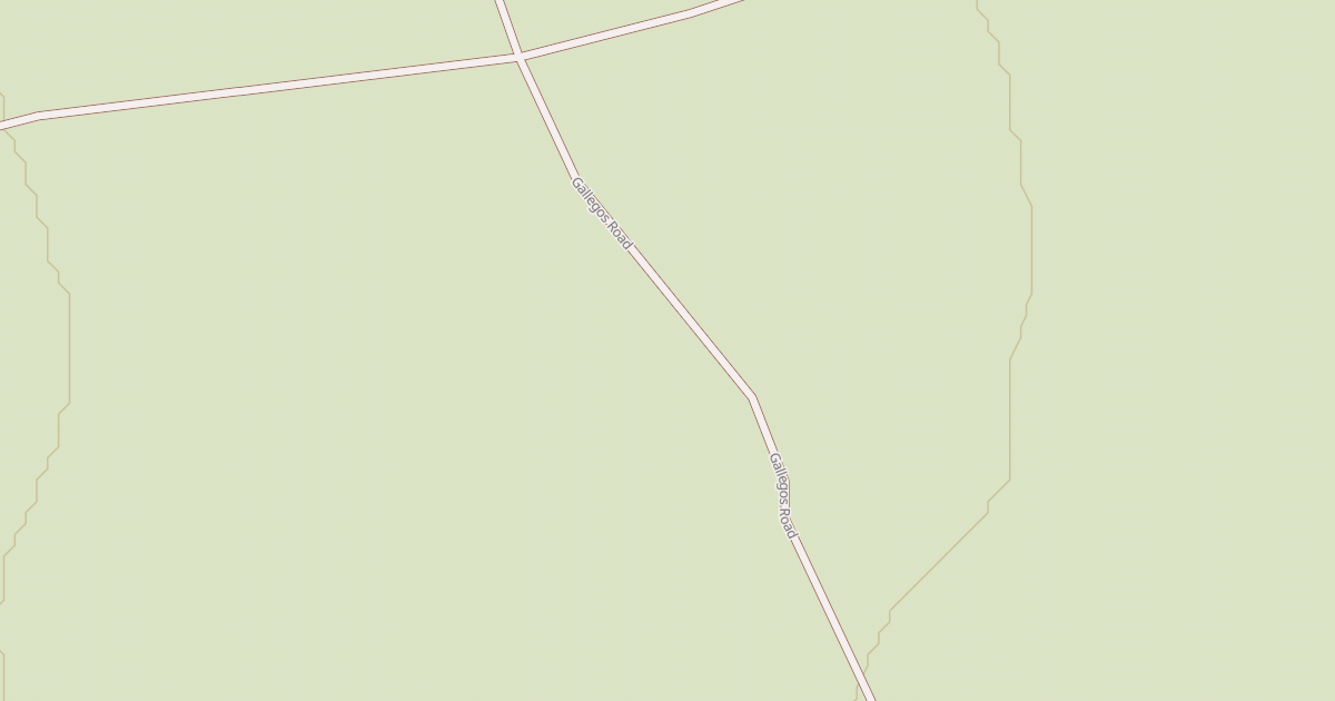 Map preview of BLM National GTLF Public Motorized Roads 838007d9-90fd-4819-8bc6-dd375c08d90d