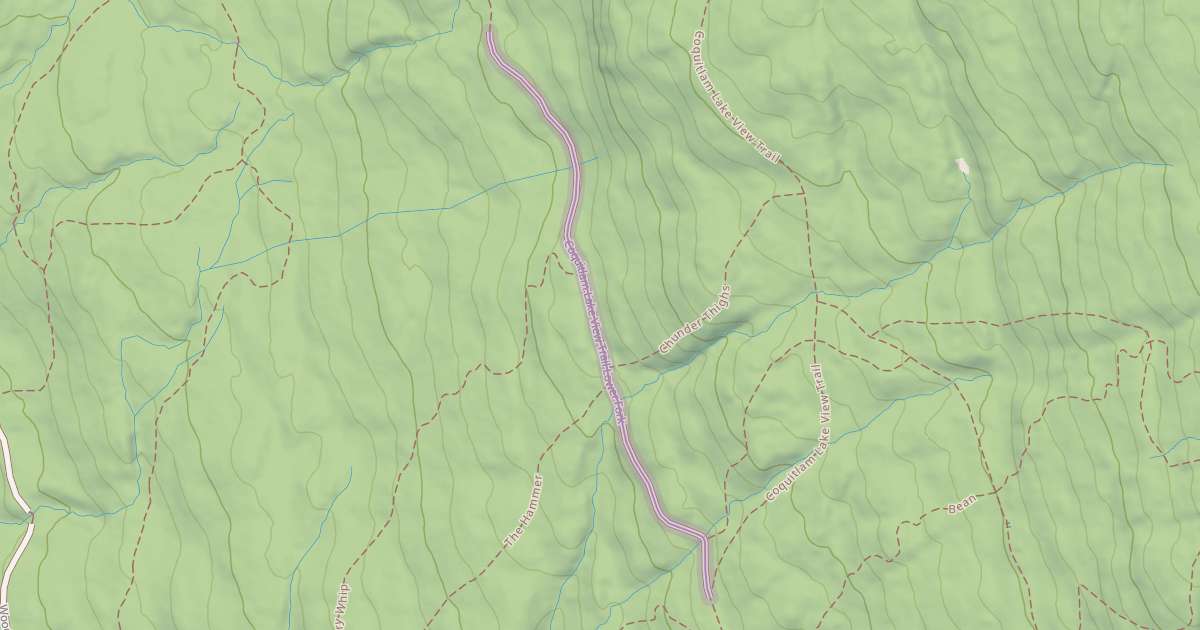 Map preview of Coquitlam Lake View Trail Lower Fork