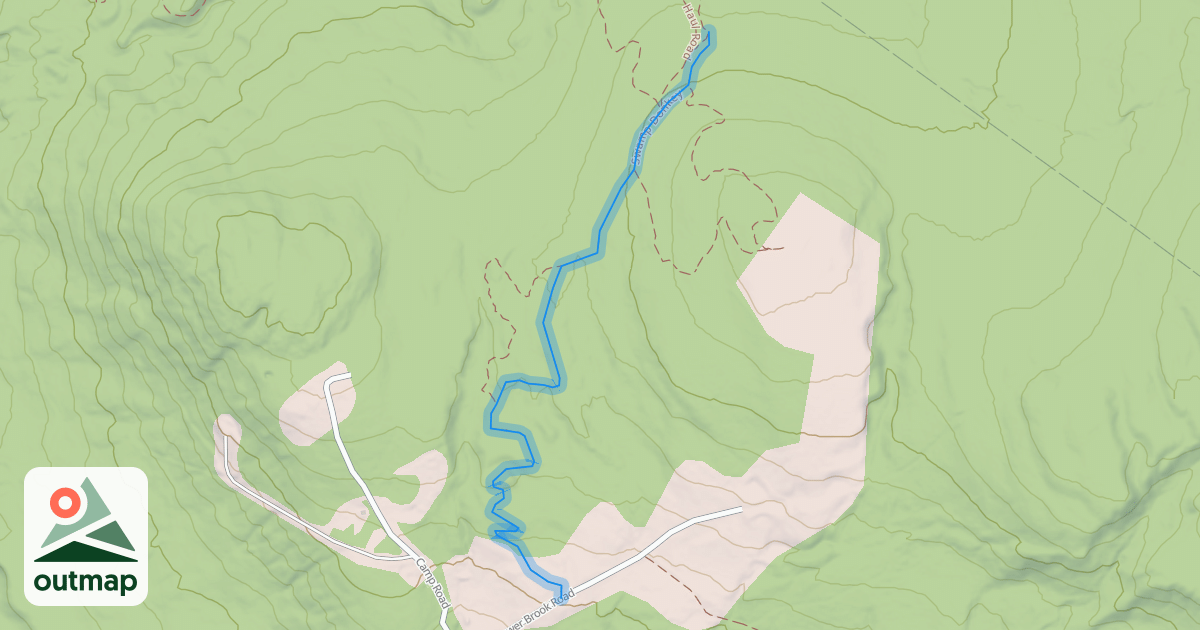 Map of Swamp Donkey