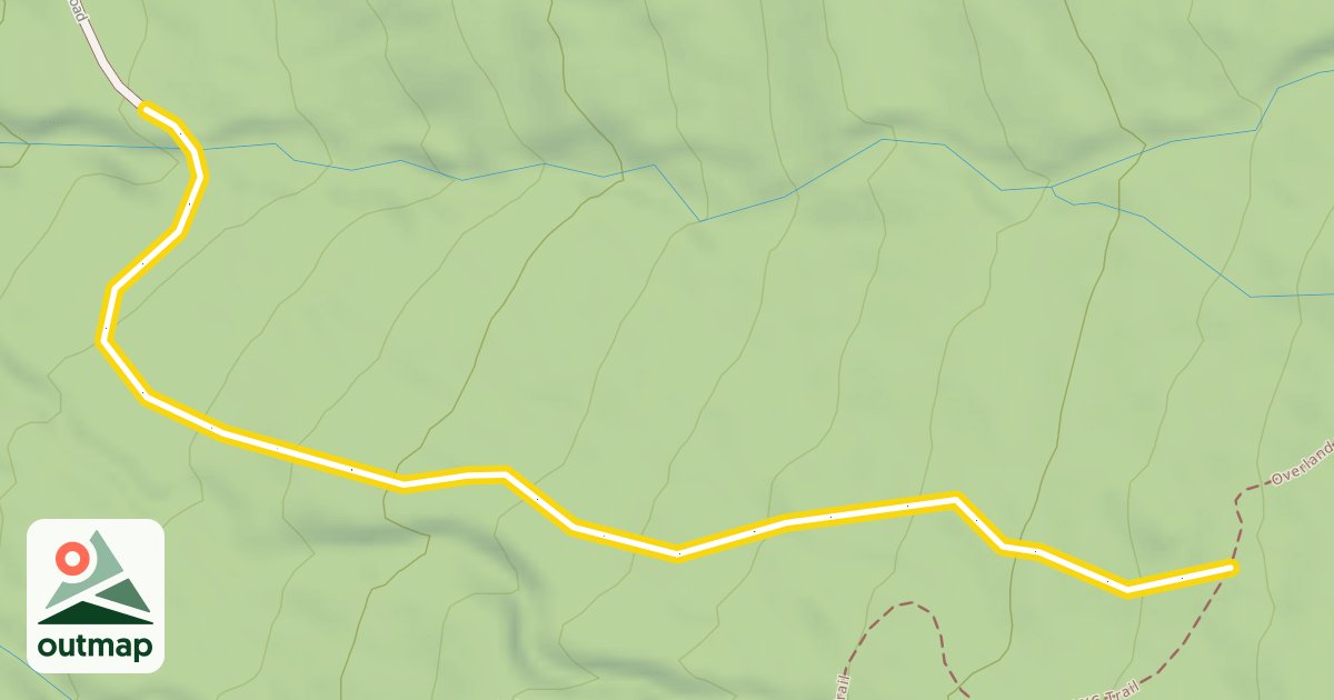 Map of Forest Road