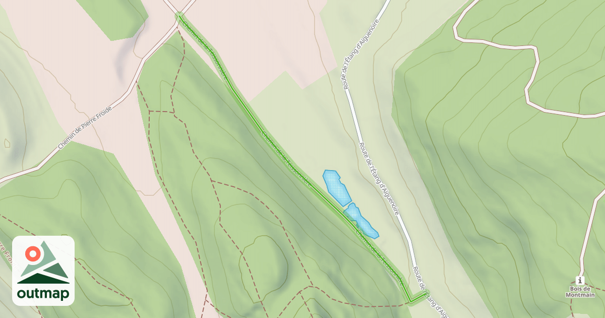 Map of Chemin de la Teissonnière