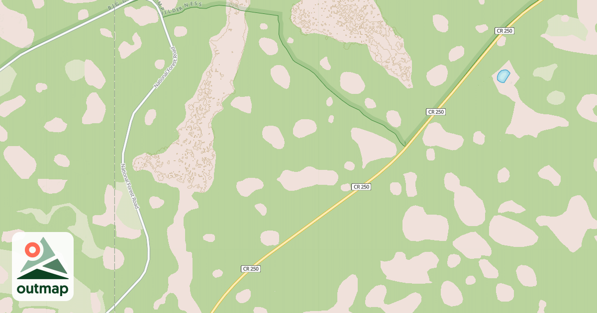 Map of USFS National Forest System Roads {91DC980A-917E-4436-87D3-D5297D1ECC91}
