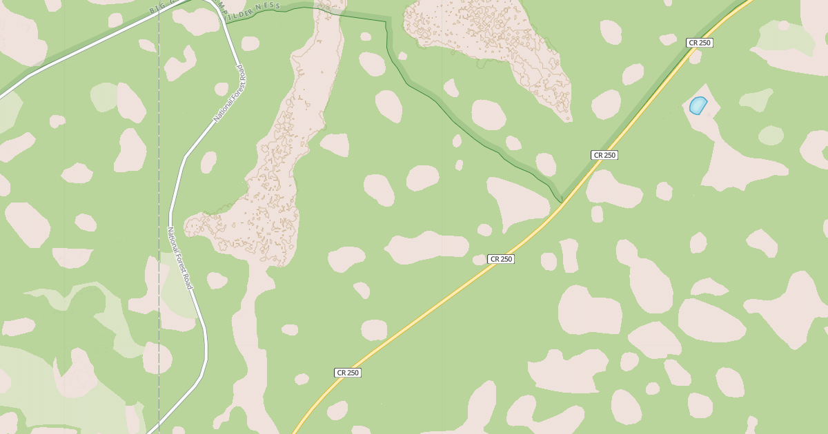Map preview of USFS National Forest System Roads {91DC980A-917E-4436-87D3-D5297D1ECC91}
