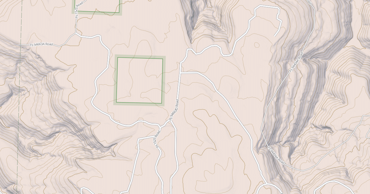 Map preview of USFS Motor Vehicle Use Map Roads {9BC90736-2907-4936-8BDA-C13150D20552}
