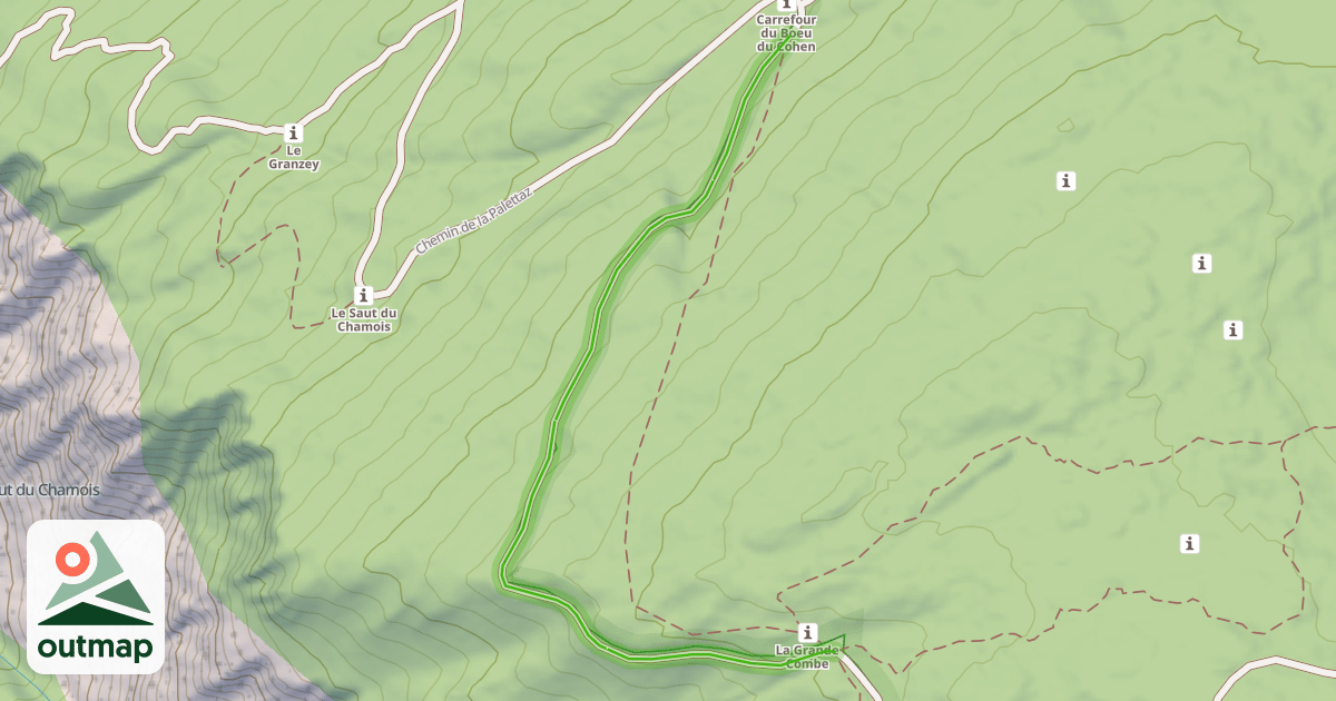 Map of Chemin de la Palettaz