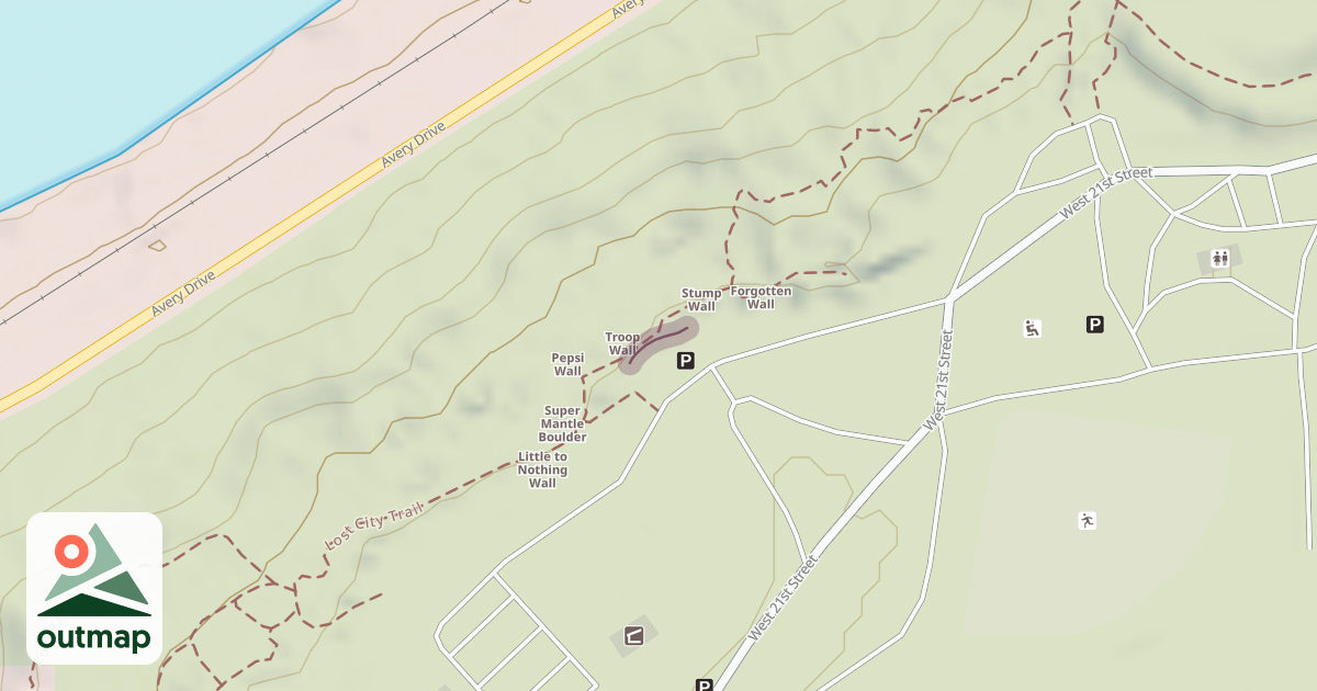 Map of Disease Wall