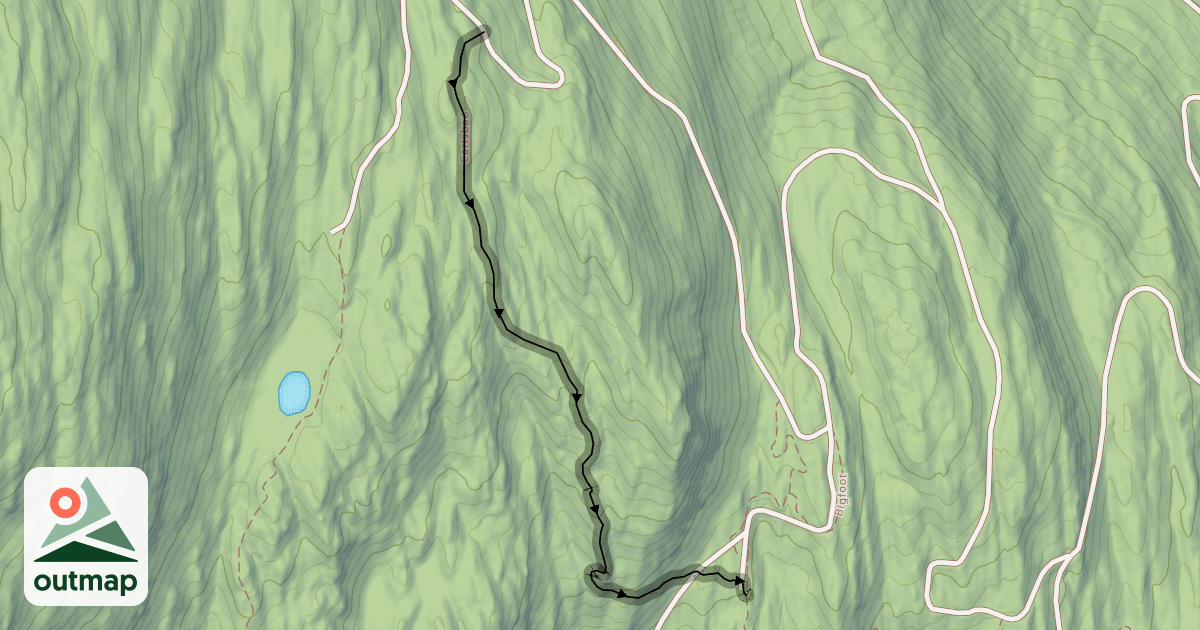Map of Carlsbad