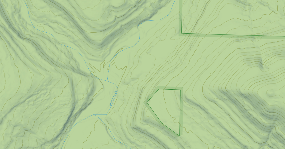 Map preview of USFS National Forest System Roads {5E75688D-55DD-46B7-965D-30EEFCACEBC4}