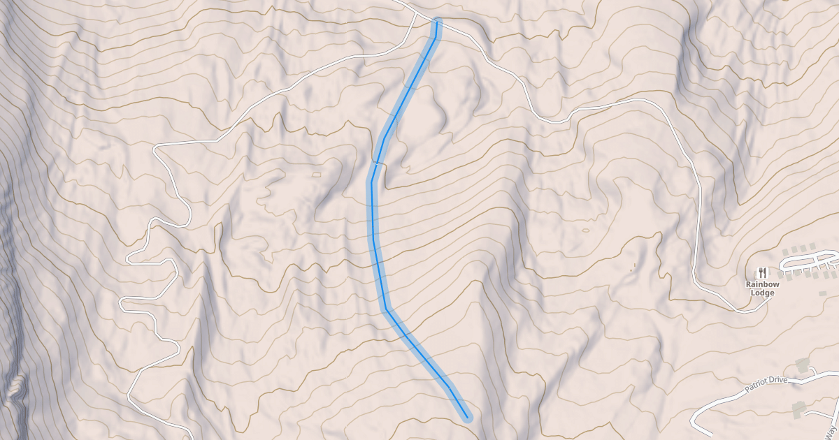 Map preview of Family Tree