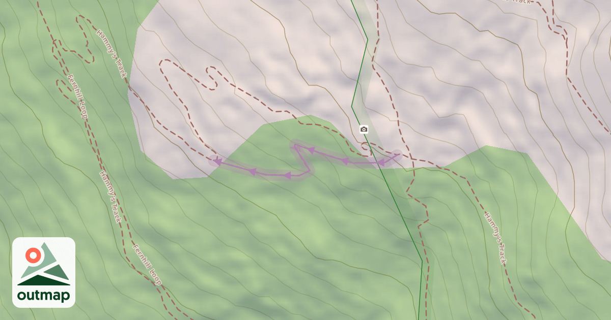 Map of Hammy's Link