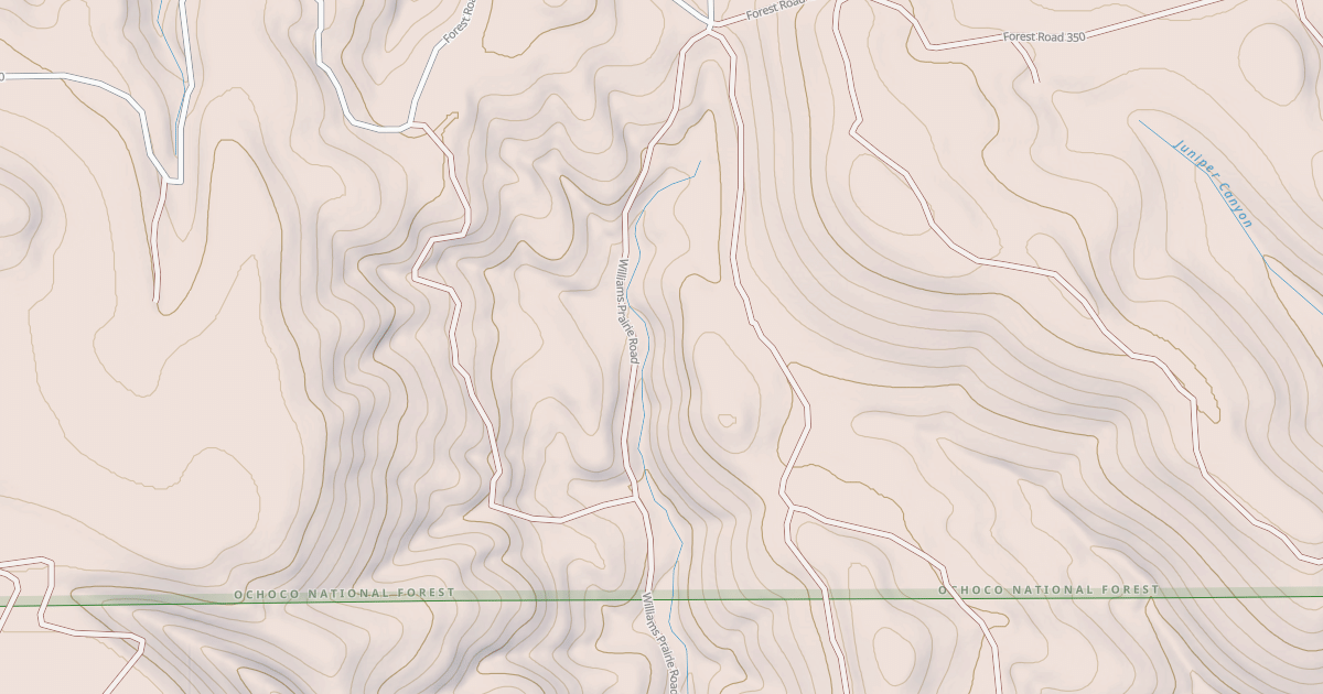 Map preview of USFS Motor Vehicle Use Map Roads {4B206165-8DA1-4417-A7E5-DFCB8CB9B36C}