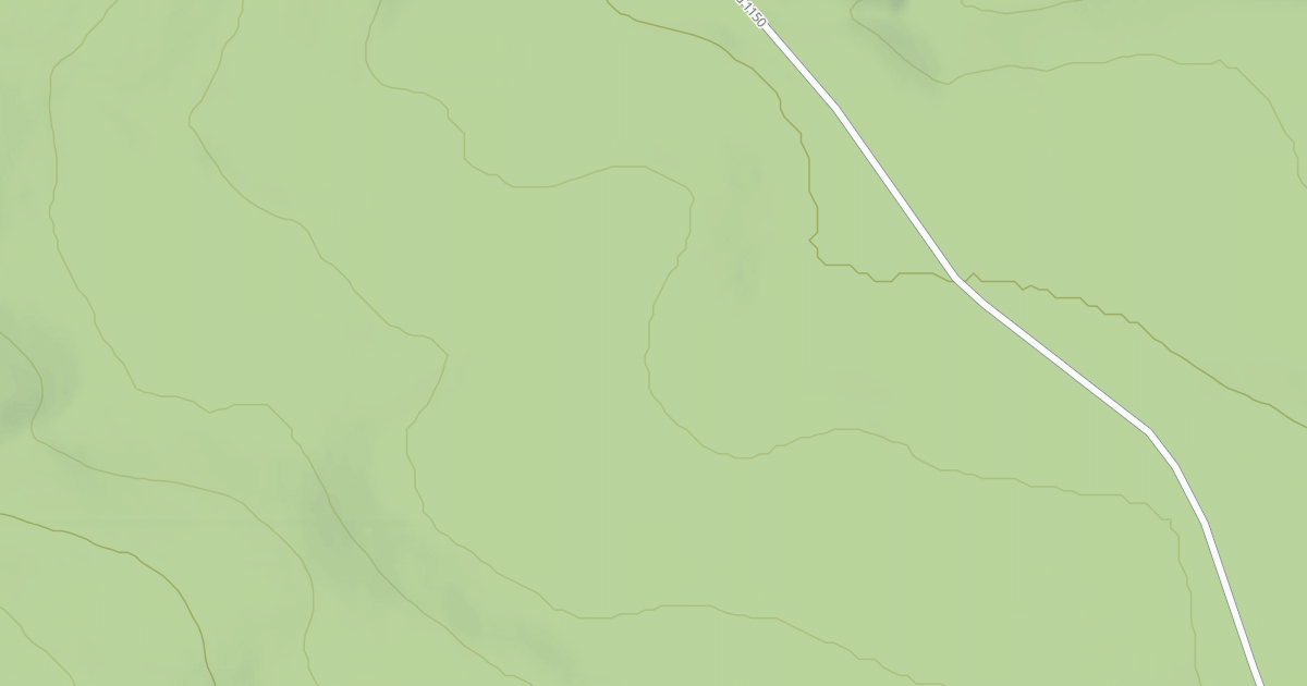 Map preview of USFS Motor Vehicle Use Map Roads {386D6B2B-D50C-4CBC-9699-31F9AED159CE}