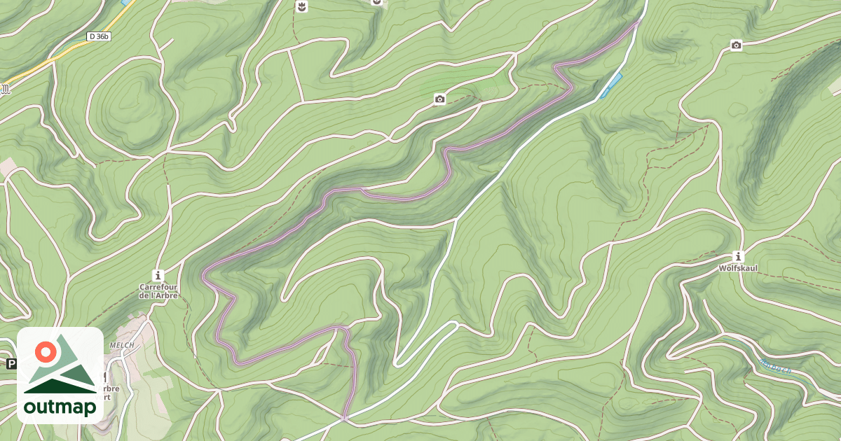 Map of Route Forestière du Langenberg Sud