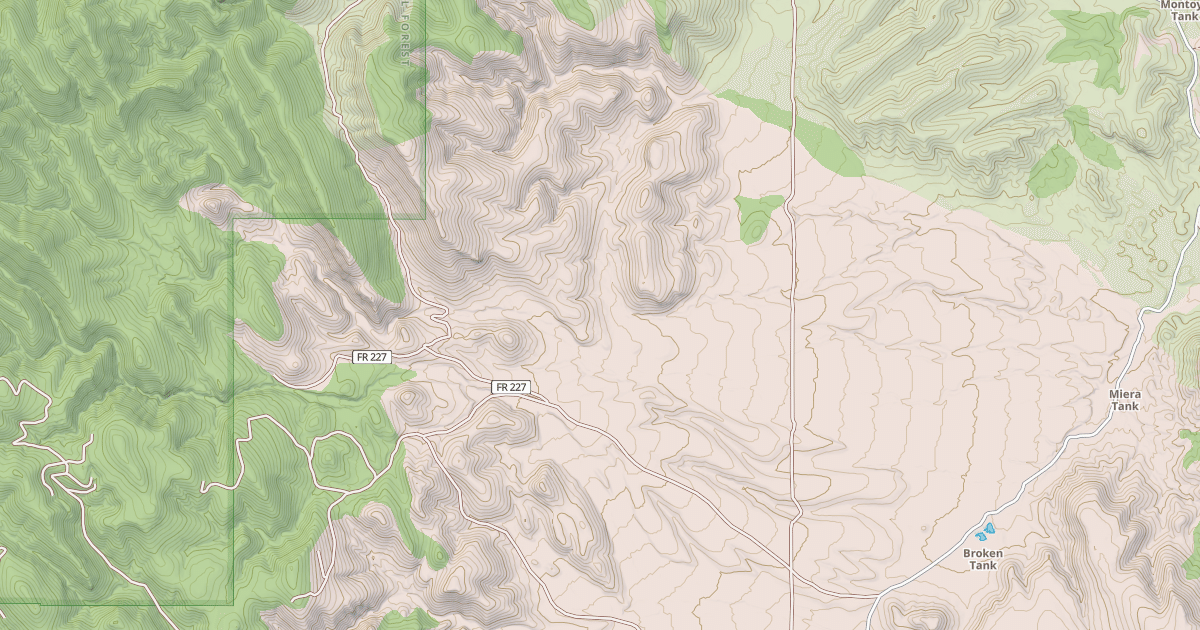 Map preview of USFS Motor Vehicle Use Map Roads {8C84AA53-3754-431C-BB64-77D0BC52D3DE}