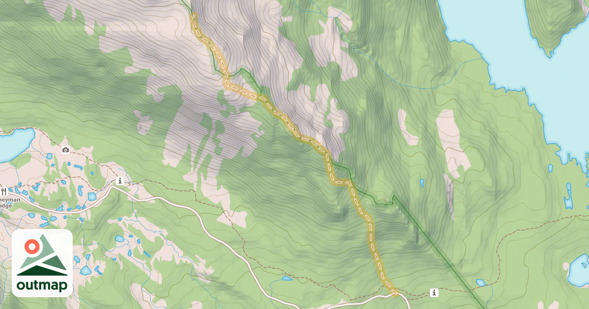 Map of Morning Glory Up