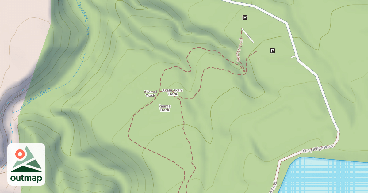 Map of Fong Ridge Road/Trail