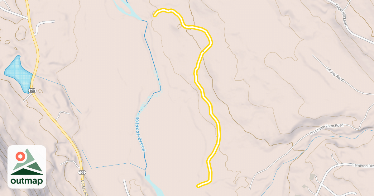 Map of 55. Alice's Alley