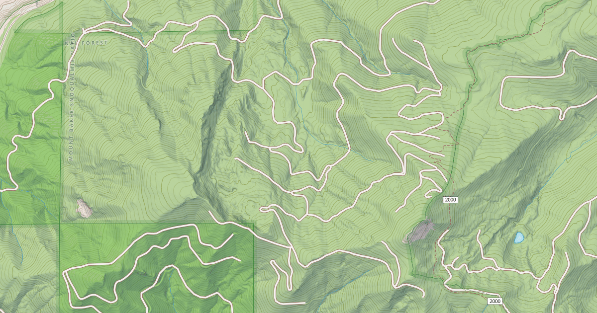 Map preview of LIZARD LAKE/BORUP