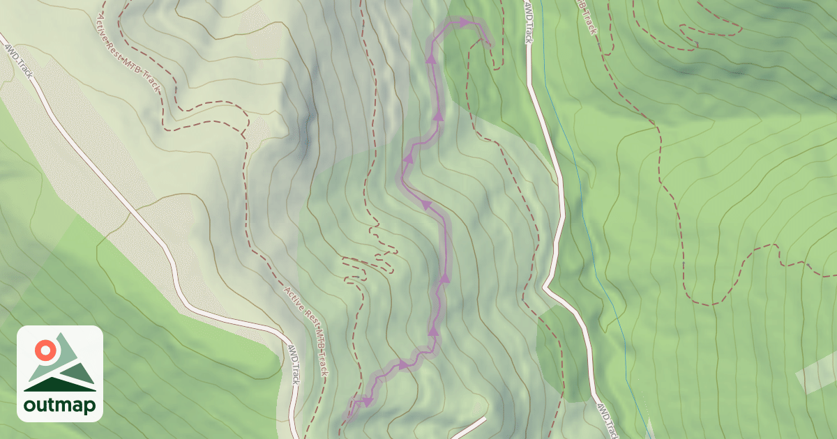 Map of The Black Pearl