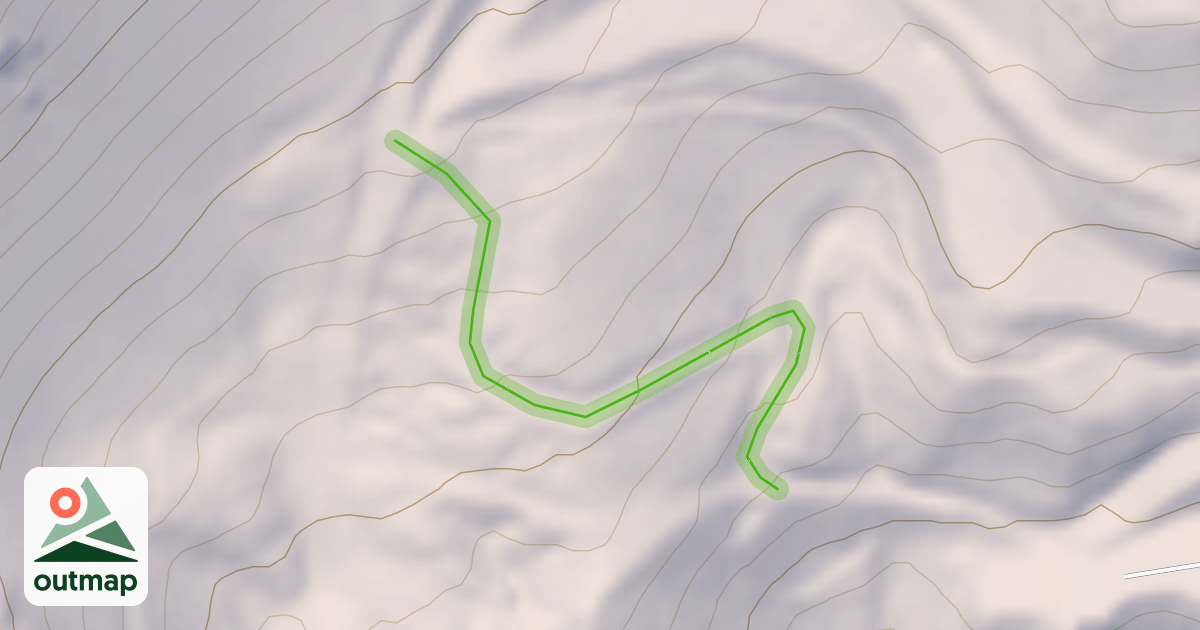 Map of Back Paddock