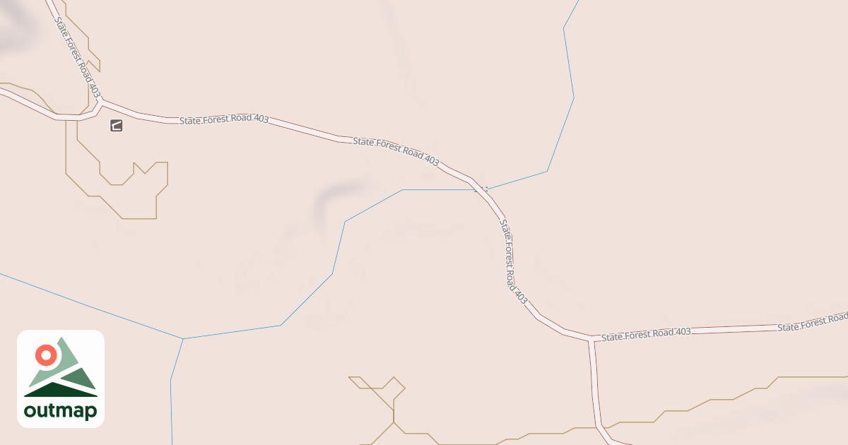 Map of Forest Riders Trails