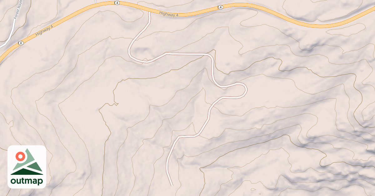 Map of USFS National Forest System Roads {F5D3D1B2-4D9B-42D7-B1CB-A7B2E5C72894}