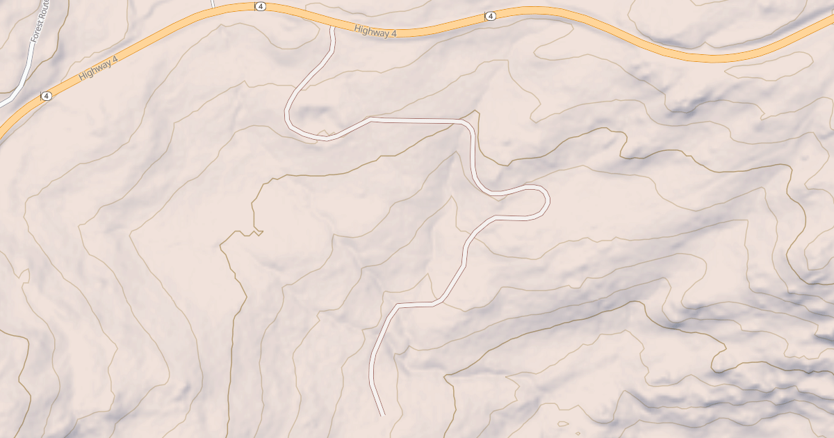 Map preview of USFS National Forest System Roads {F5D3D1B2-4D9B-42D7-B1CB-A7B2E5C72894}