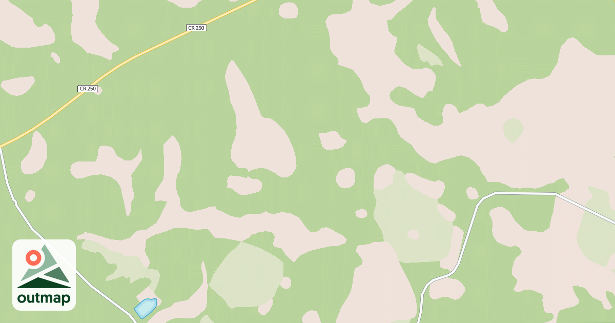 Map of USFS Motor Vehicle Use Map Roads {D4C87FBC-40B5-43D3-B768-6D505F1716F0}