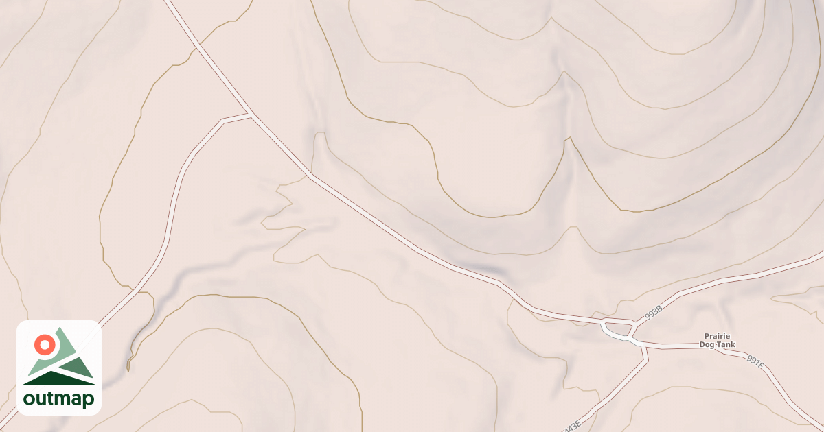 Map of USFS National Forest System Roads {98C3308F-7497-4786-A0F7-90BB11ADCEA1}