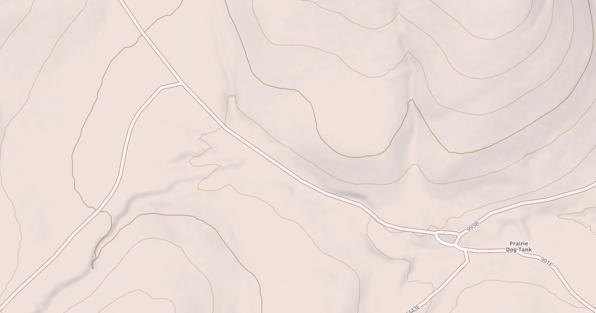 Map preview of USFS National Forest System Roads {98C3308F-7497-4786-A0F7-90BB11ADCEA1}