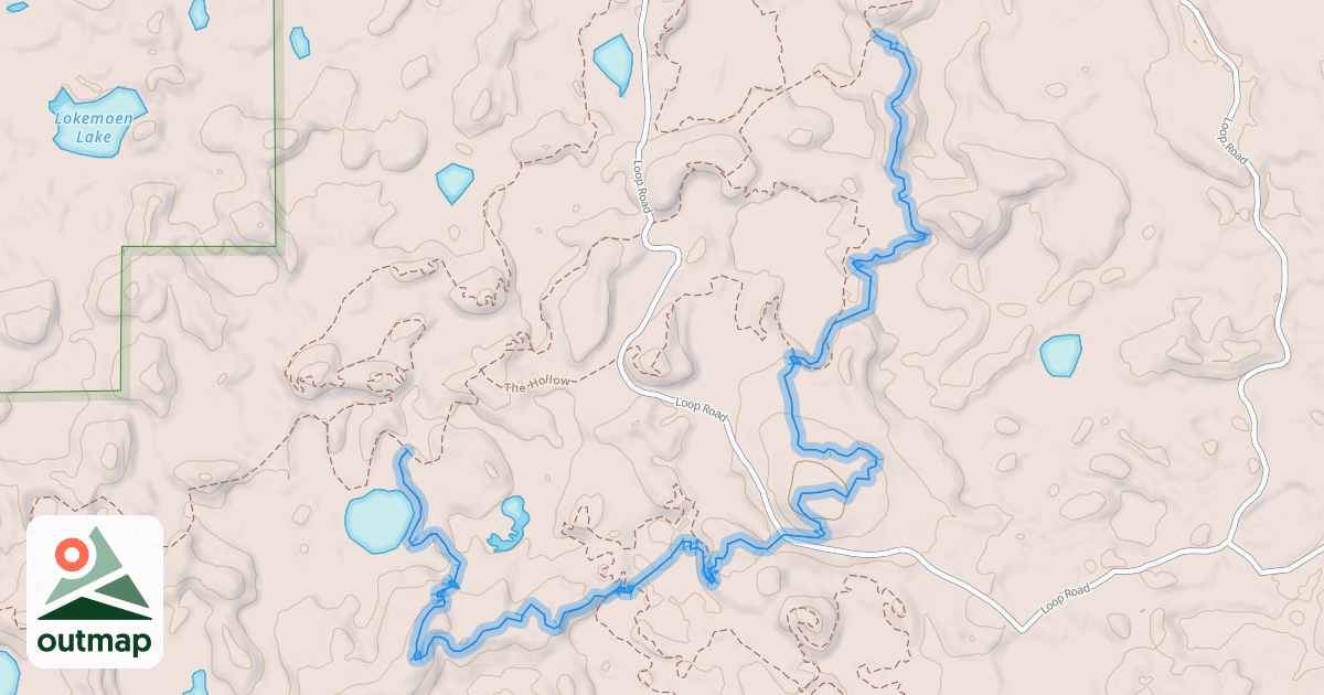 Map of Main Course