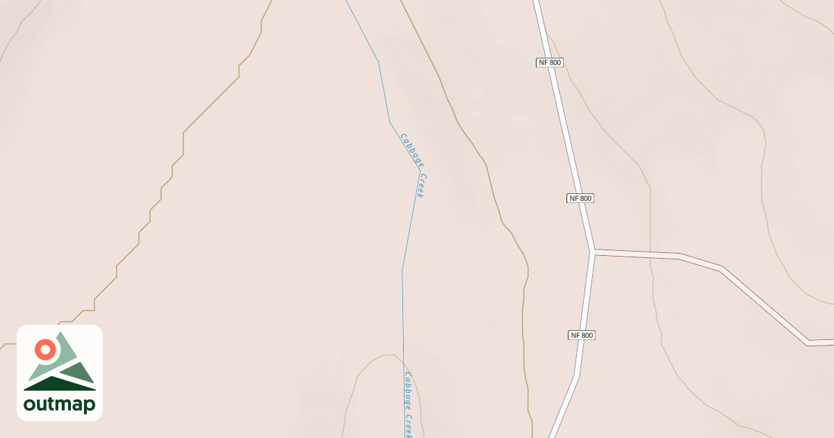 Map of USFS National Forest System Roads {BD50CEC8-04A3-49ED-913E-123EC0A14E91}
