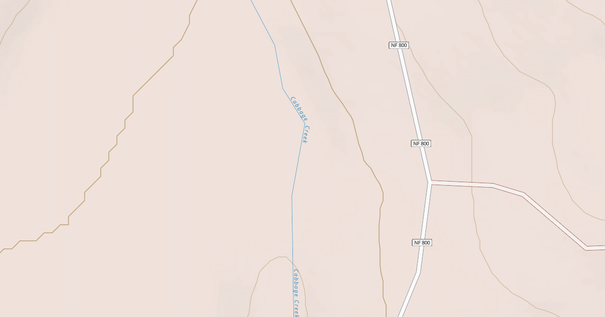 Map preview of USFS National Forest System Roads {BD50CEC8-04A3-49ED-913E-123EC0A14E91}