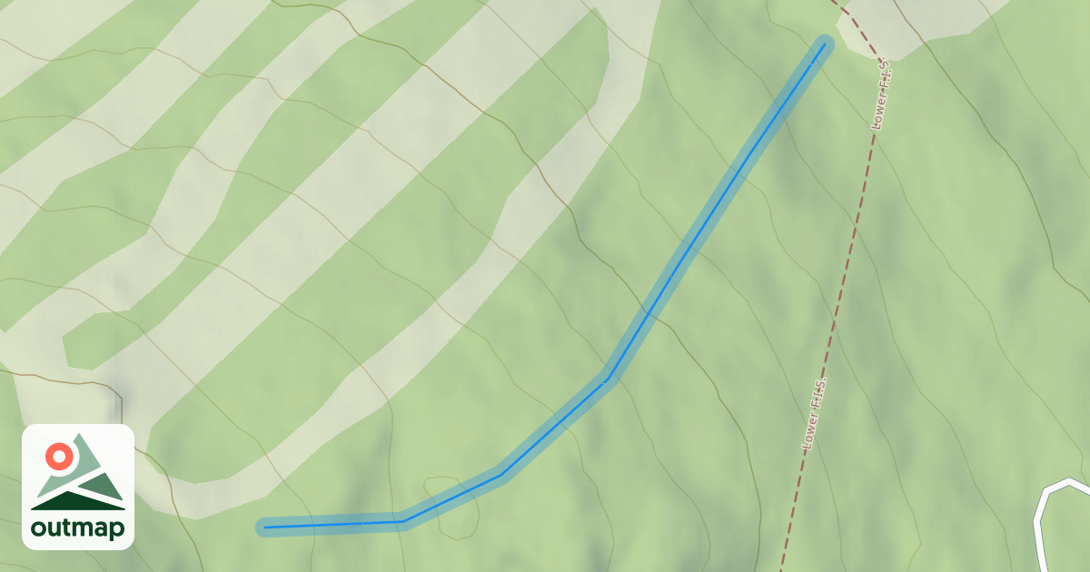 Map of Ellen's Woods